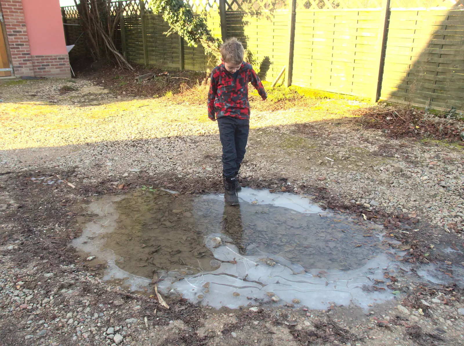 Fred breaks up more frozen puddles, from A Snowy January Miscellany, Eye, Suffolk - 15th January 2017