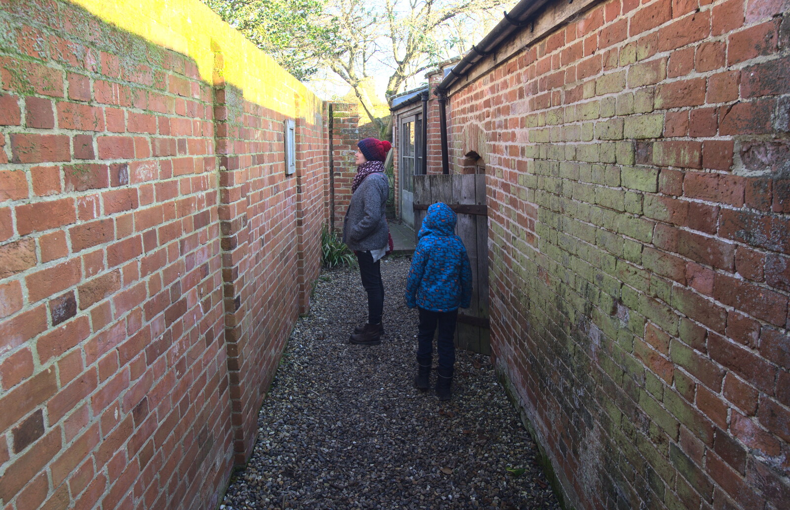 Isobel looks at something down an alley from A Day in Lavenham, Suffolk - 22nd January 2017