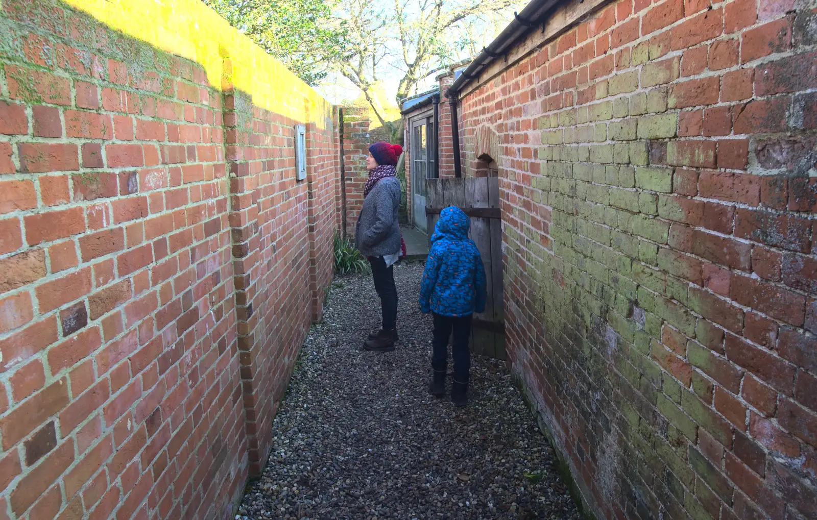 Isobel looks at something down an alley, from A Day in Lavenham, Suffolk - 22nd January 2017