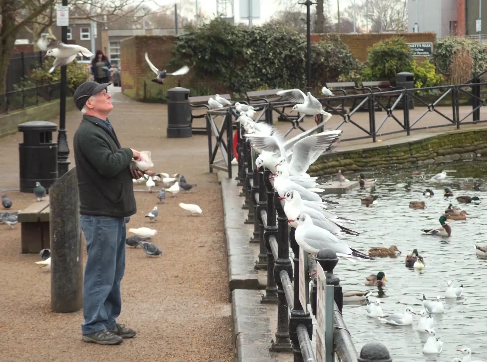 Somebody eats chips by the Mere, from Grandad's Fire and SwiftKey Moves Offices, Eye and Paddington - 23rd January 2017