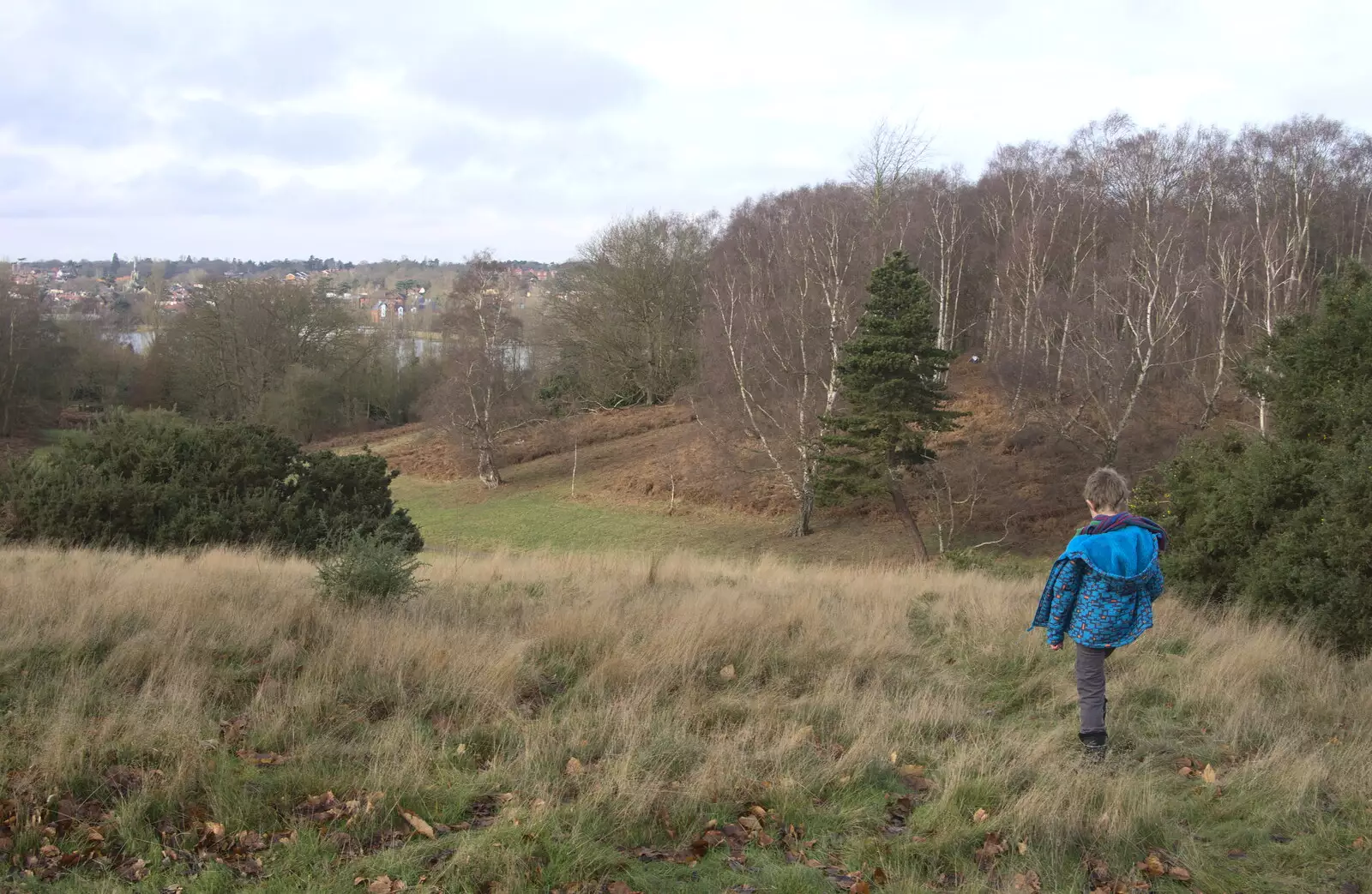 Fred surveys the view over to the River Deben, from A Trip to Sutton Hoo, Woodbridge, Suffolk - 29th January 2017