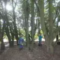 Harry and Fred find some trees to run around in, A Trip to Sutton Hoo, Woodbridge, Suffolk - 29th January 2017