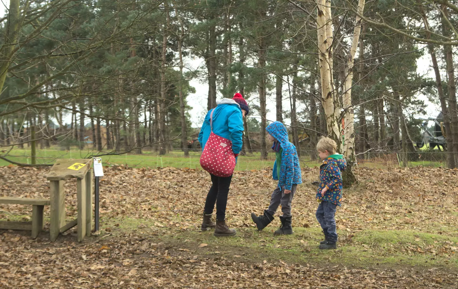 The gang amongst autumn leaves, from A Trip to Sutton Hoo, Woodbridge, Suffolk - 29th January 2017