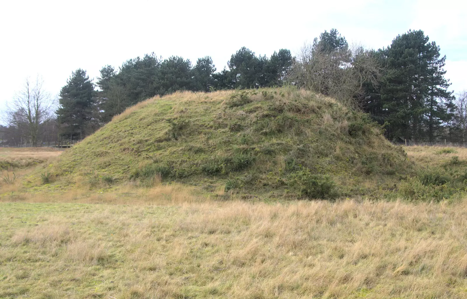 Another Sutton Hoo Tumulus, from A Trip to Sutton Hoo, Woodbridge, Suffolk - 29th January 2017