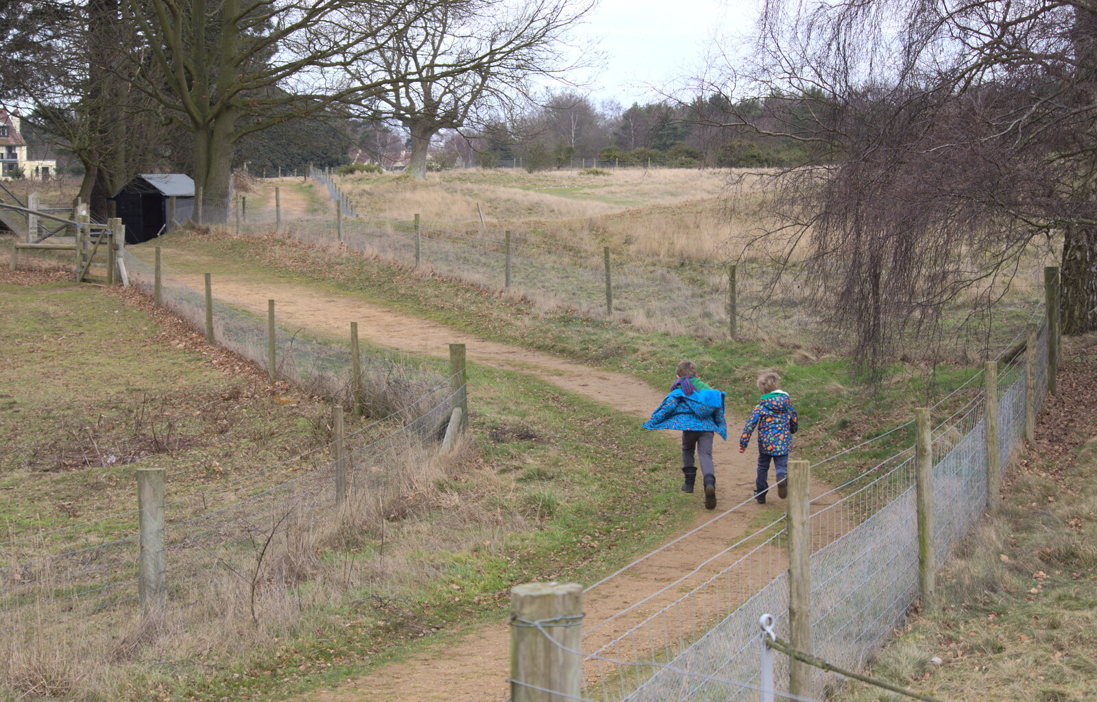 The boys run along a path from A Trip to Sutton Hoo, Woodbridge, Suffolk - 29th January 2017