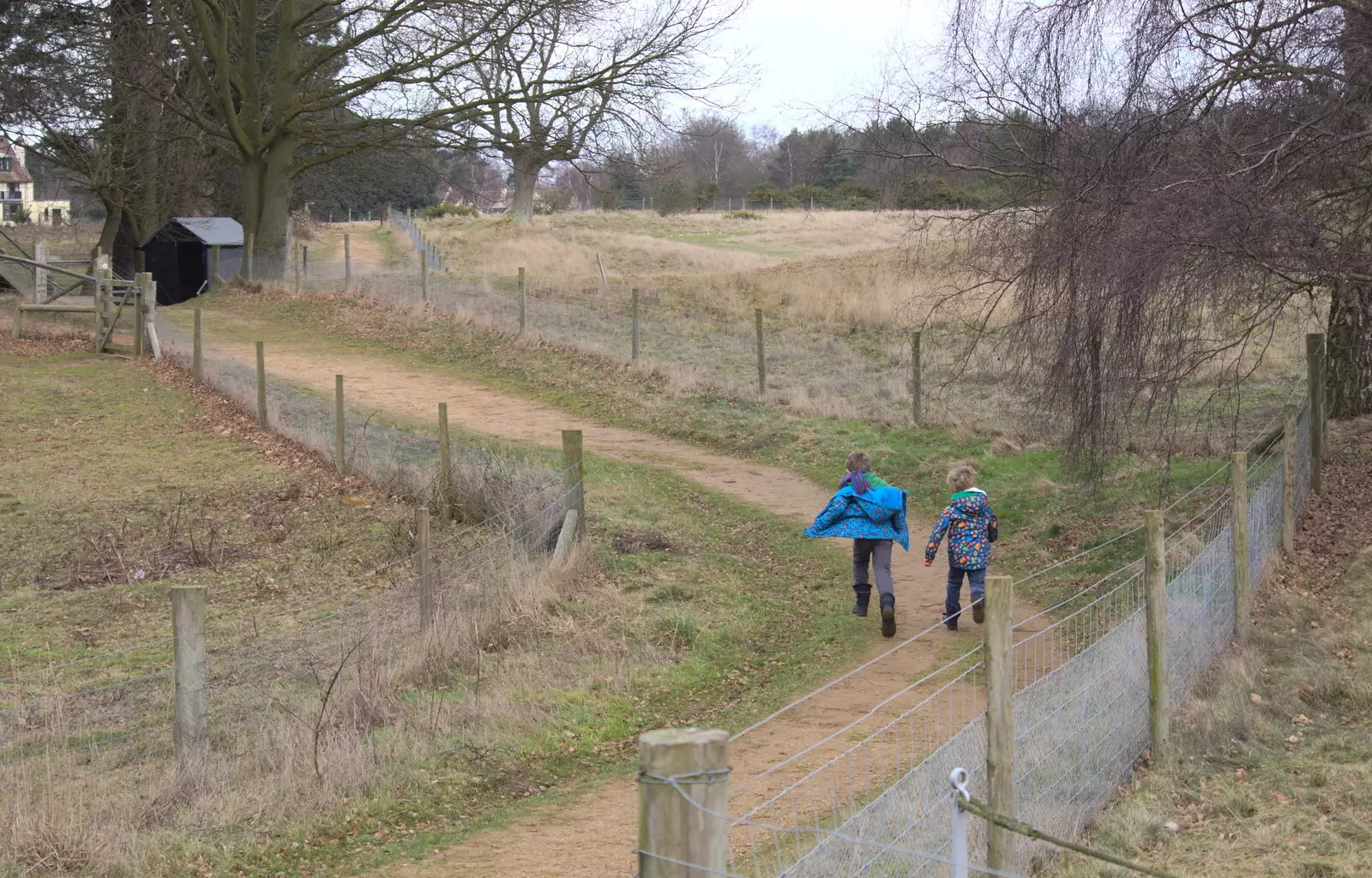 The boys run along a path, from A Trip to Sutton Hoo, Woodbridge, Suffolk - 29th January 2017