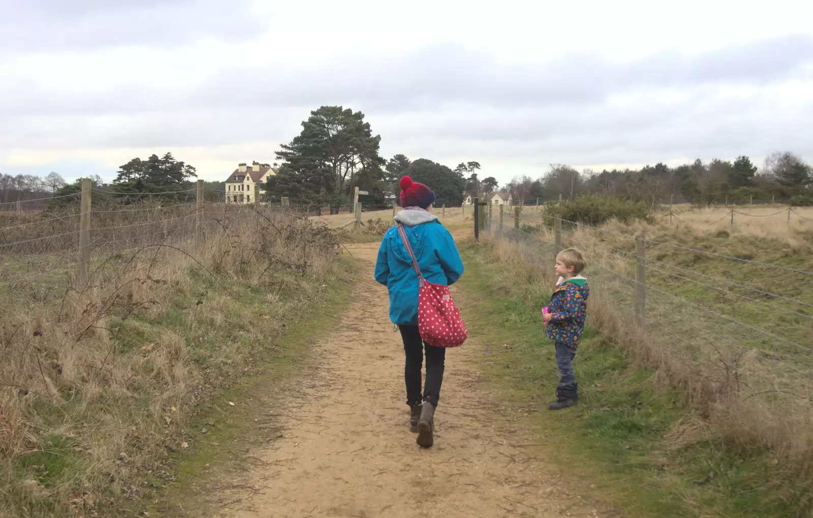 Back on the path, from A Trip to Sutton Hoo, Woodbridge, Suffolk - 29th January 2017