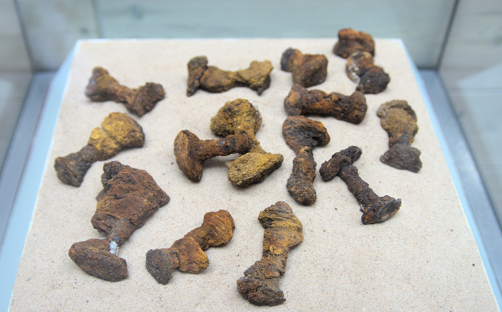 A collection of original rusty iron boat rivets from A Trip to Sutton Hoo, Woodbridge, Suffolk - 29th January 2017