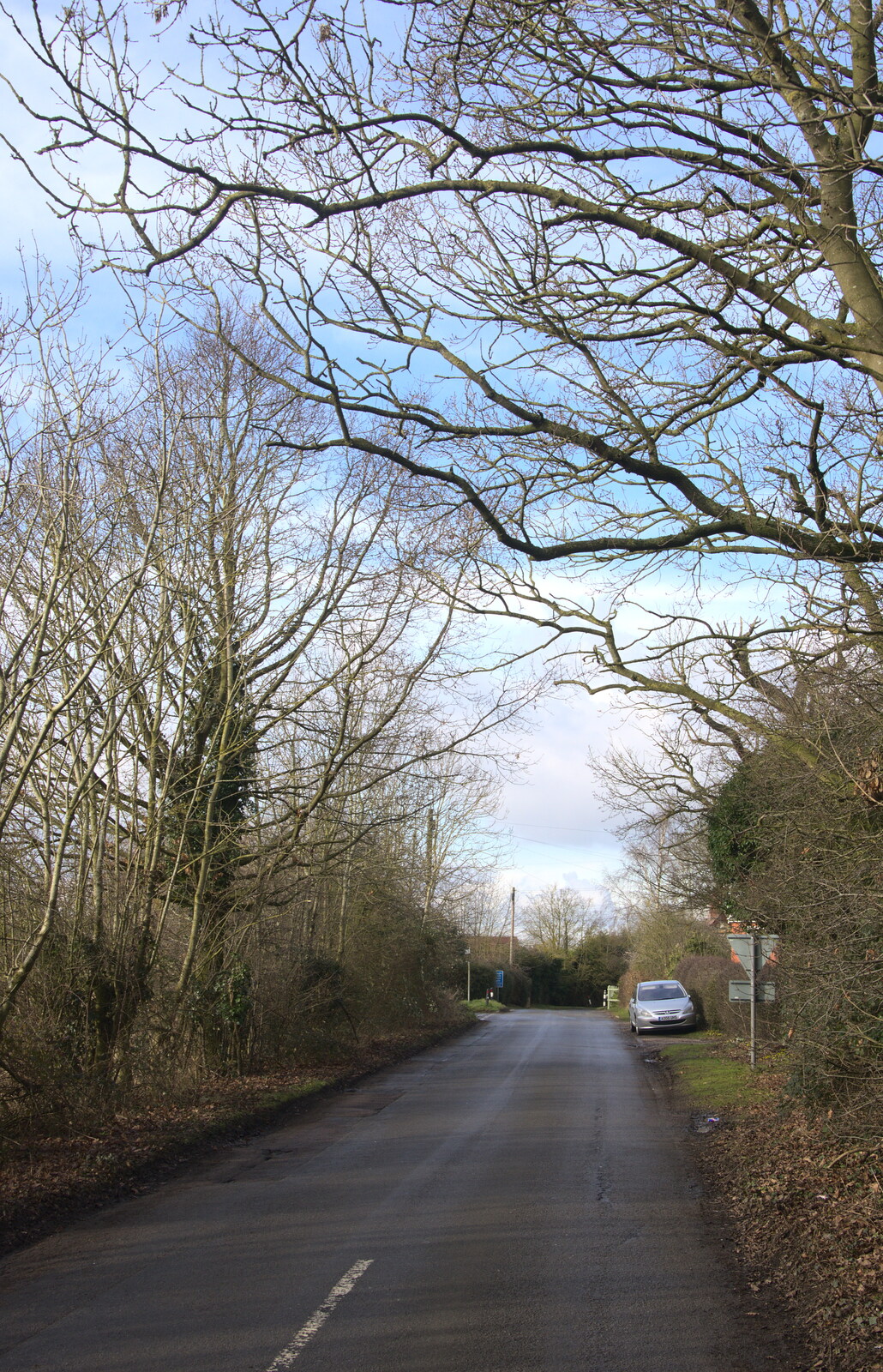 The road to Thrandeston from A Winter's Walk, Thrandeston, Suffolk - 5th February 2017