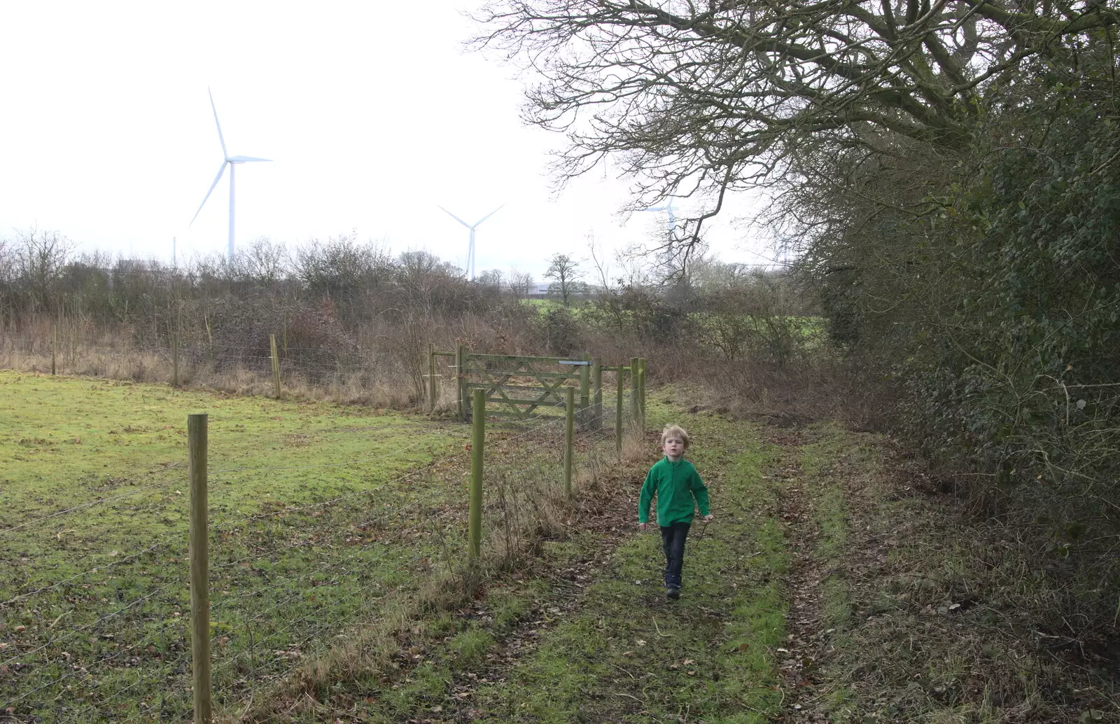 Harry roams the path, from A Winter's Walk, Thrandeston, Suffolk - 5th February 2017