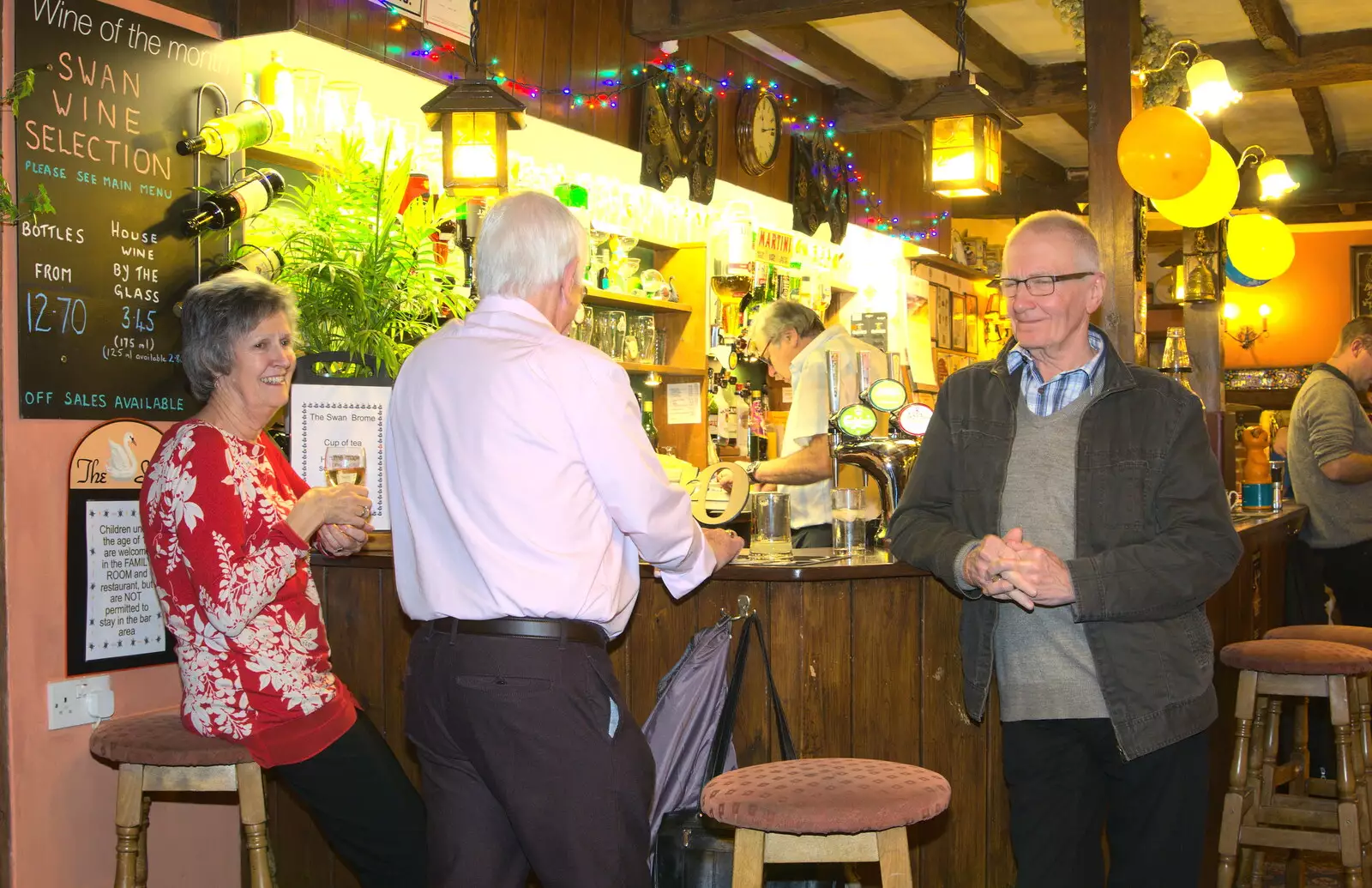 John Willy's in da house, from Sylvia's 70th Birthday up the Swan Inn, Brome, Suffolk - 11th February 2017