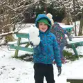 Fred with some snow, A Snowy Day, Brome, Suffolk - 12th February 2017