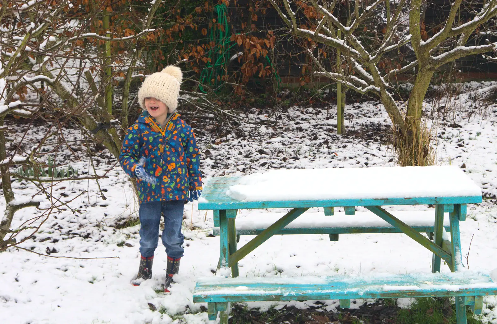 Harry's excited, from A Snowy Day, Brome, Suffolk - 12th February 2017