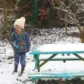 Harry's excited, A Snowy Day, Brome, Suffolk - 12th February 2017