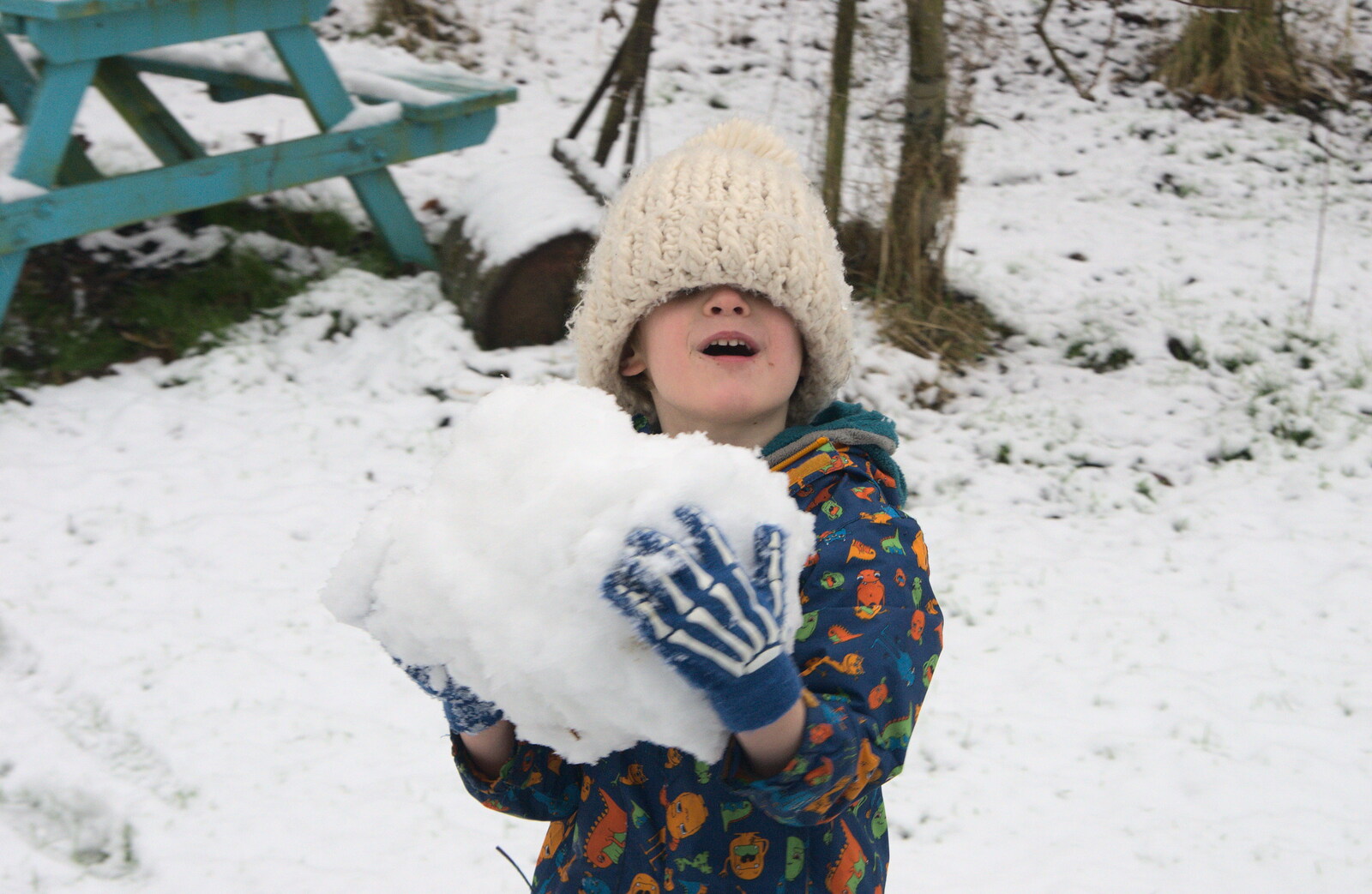 Harry's got a big snowball from A Snowy Day, Brome, Suffolk - 12th February 2017