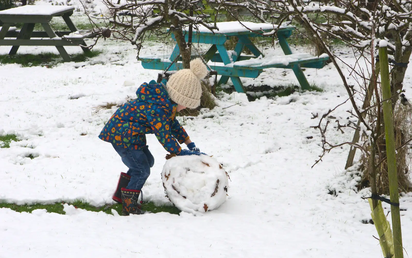 Harry keeps rolling, from A Snowy Day, Brome, Suffolk - 12th February 2017