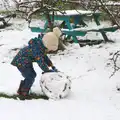 Harry keeps rolling, A Snowy Day, Brome, Suffolk - 12th February 2017