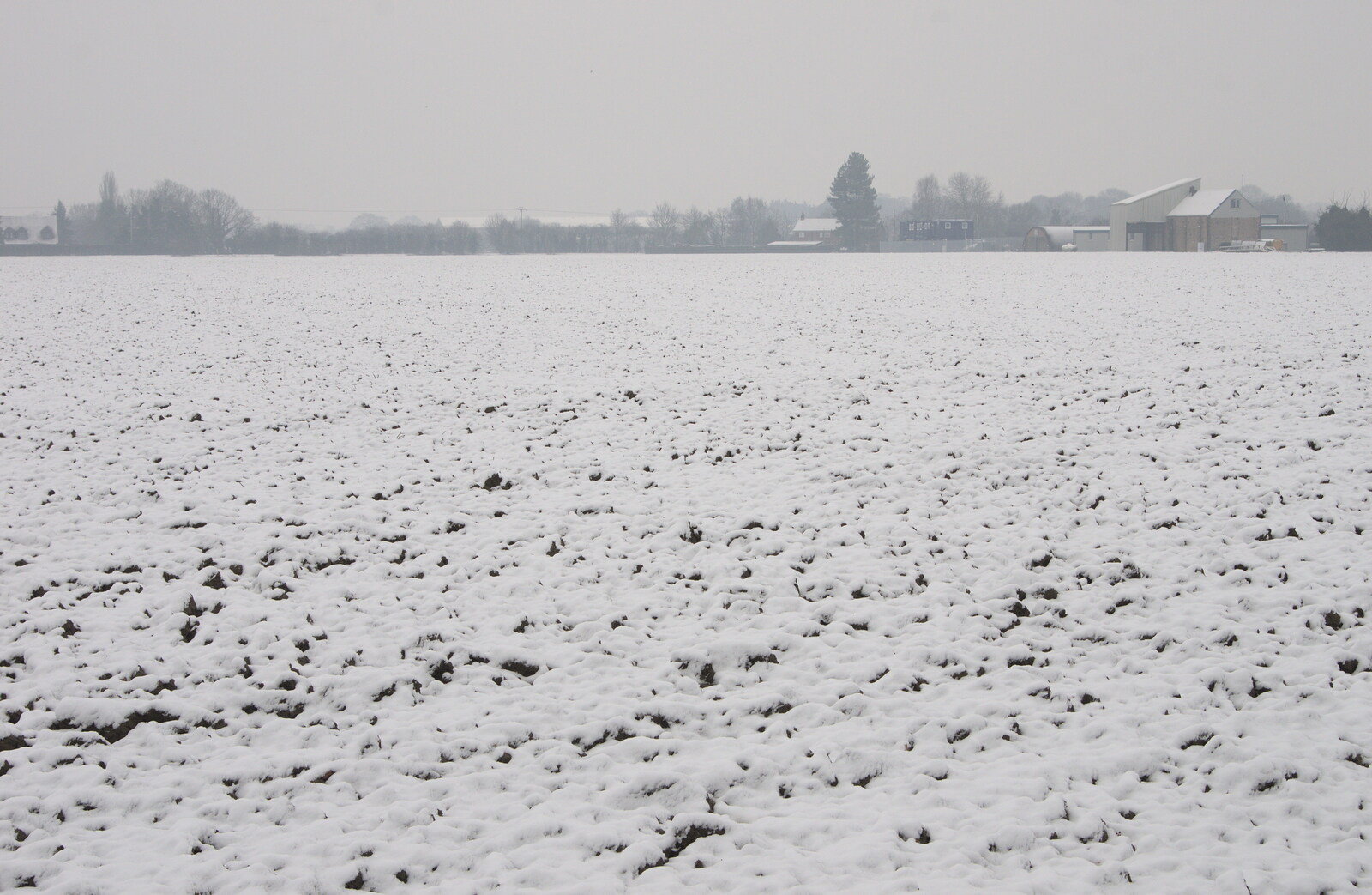 The back field from A Snowy Day, Brome, Suffolk - 12th February 2017
