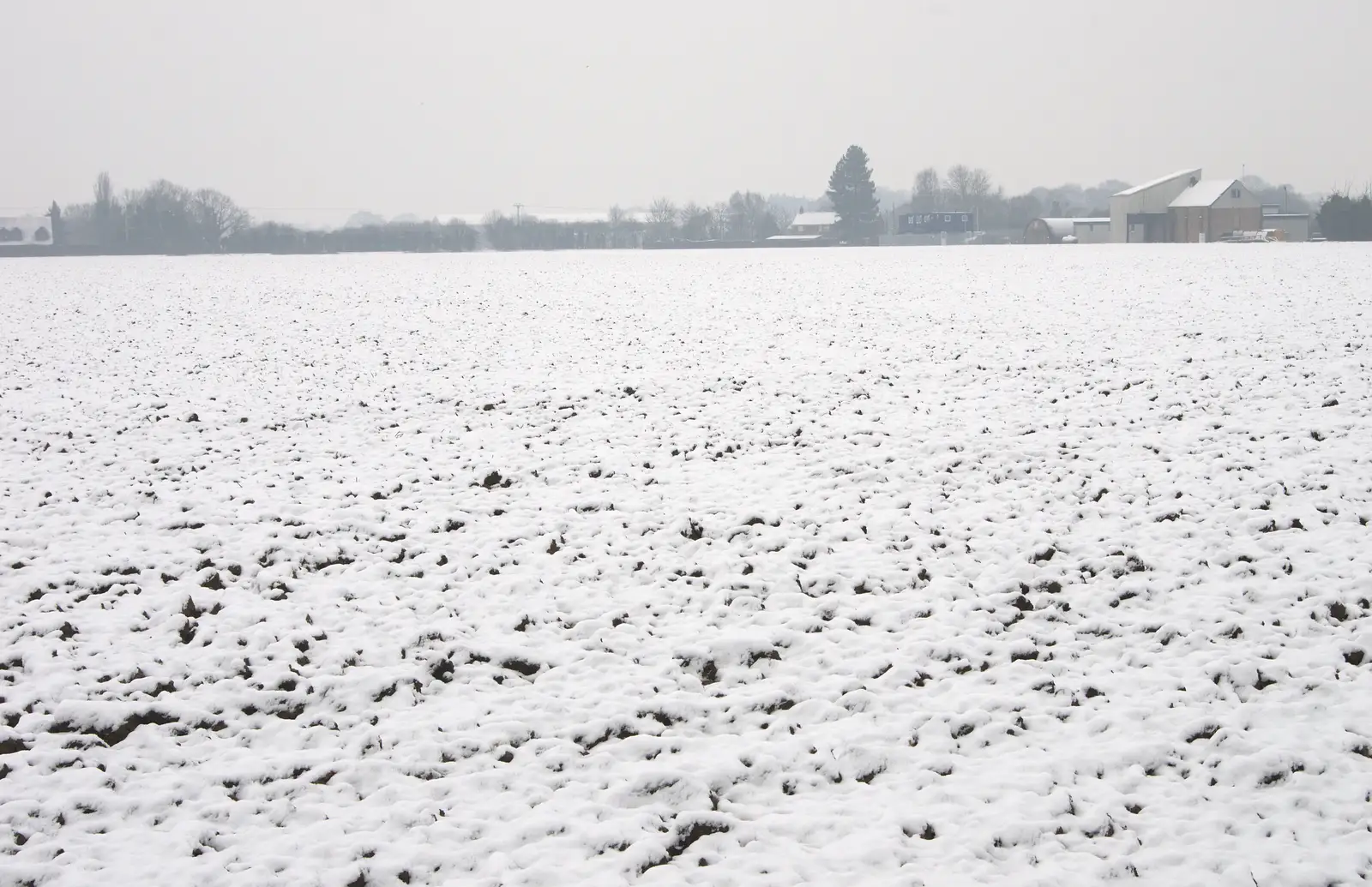 The back field, from A Snowy Day, Brome, Suffolk - 12th February 2017