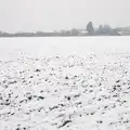 The back field, A Snowy Day, Brome, Suffolk - 12th February 2017