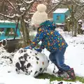 Harry does a roll-up, A Snowy Day, Brome, Suffolk - 12th February 2017