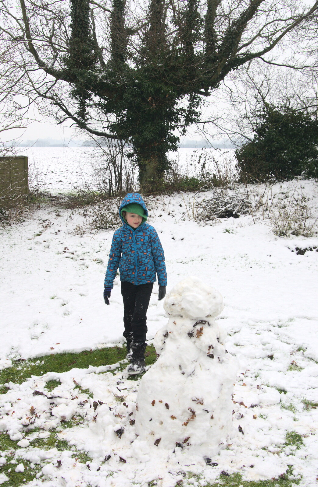 Fred considers the snowman from A Snowy Day, Brome, Suffolk - 12th February 2017