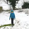 Fred considers the snowman, A Snowy Day, Brome, Suffolk - 12th February 2017