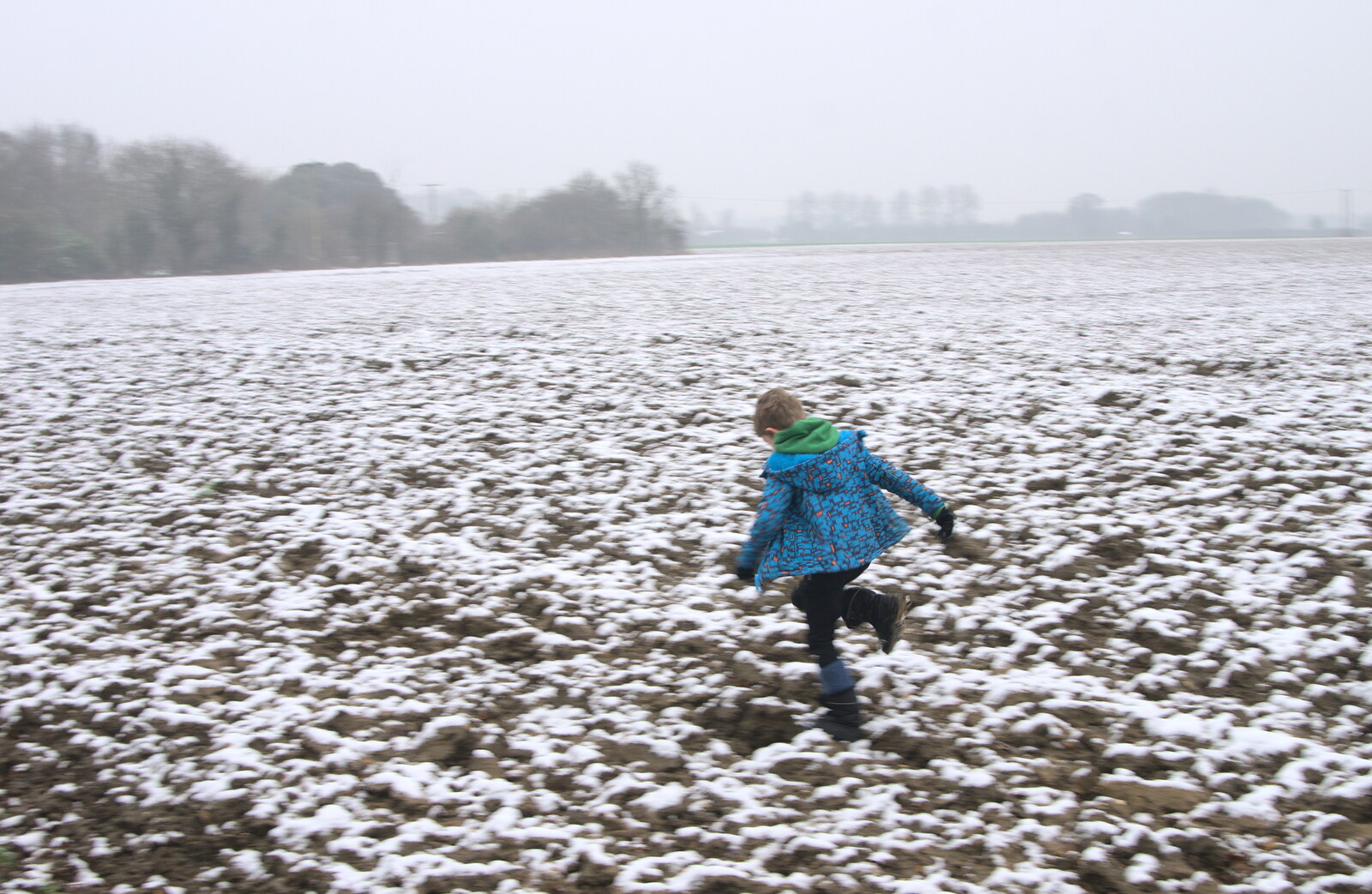 Fred runs off from A Snowy Day, Brome, Suffolk - 12th February 2017