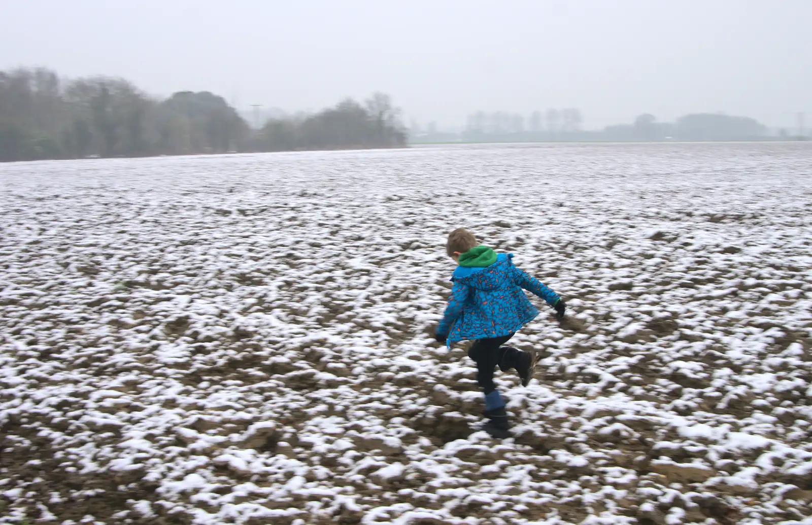 Fred runs off, from A Snowy Day, Brome, Suffolk - 12th February 2017