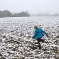 Fred runs off, A Snowy Day, Brome, Suffolk - 12th February 2017