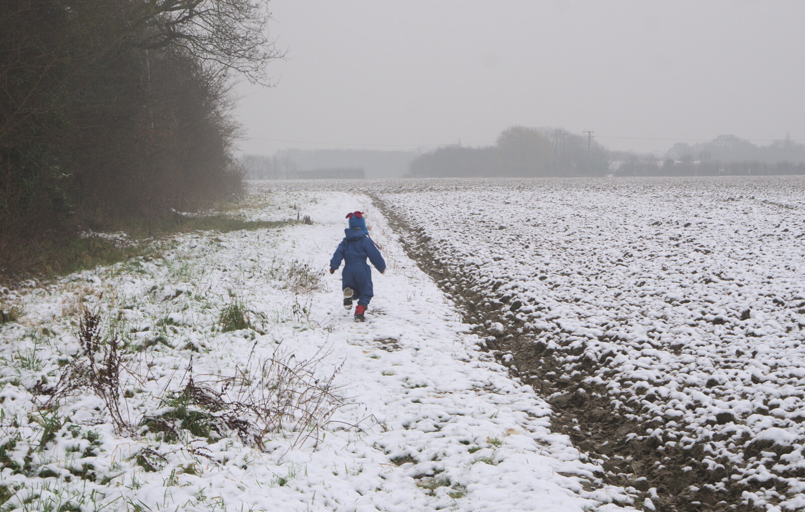 Harry legs it round the field from A Snowy Day, Brome, Suffolk - 12th February 2017