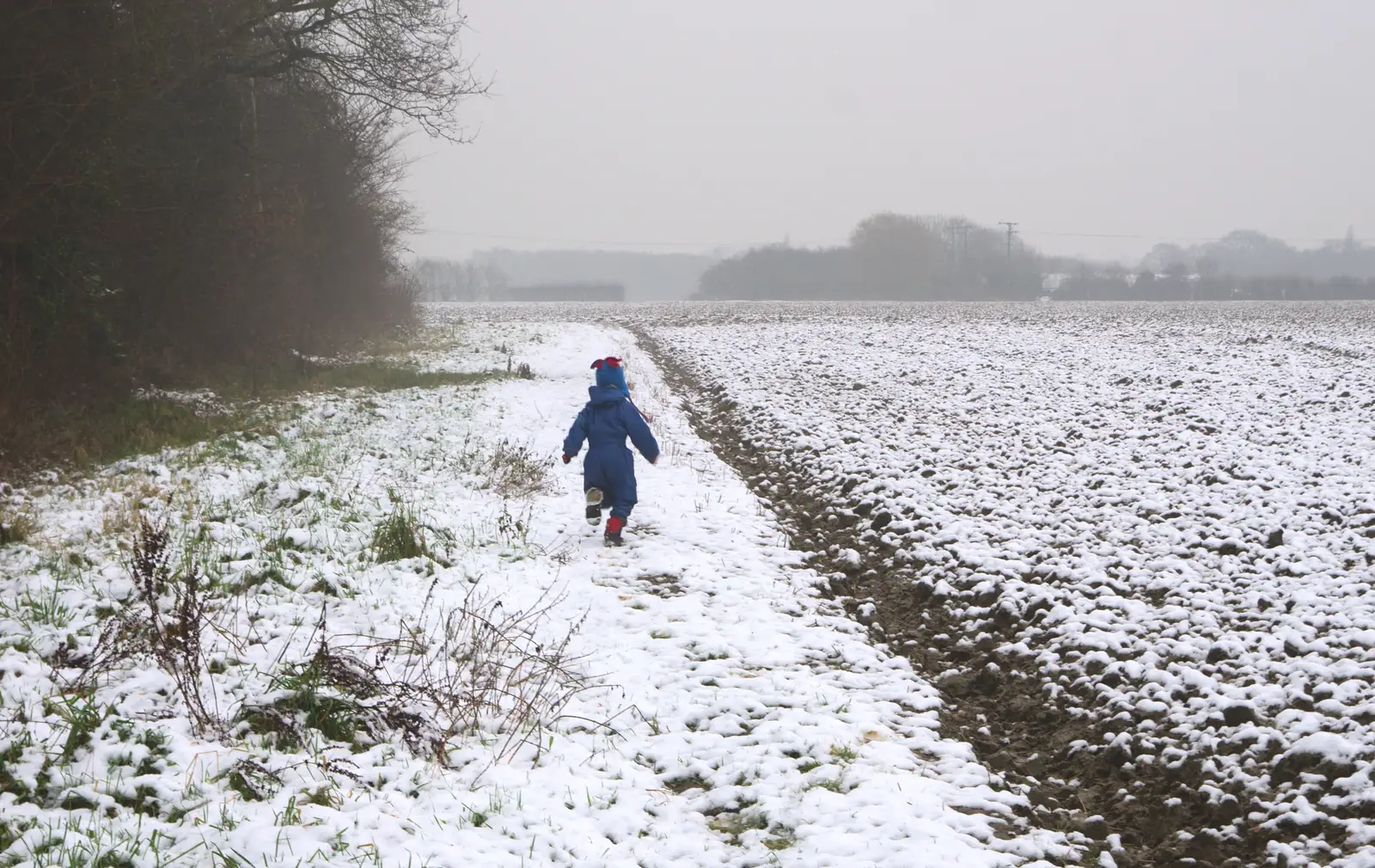 Harry legs it round the field, from A Snowy Day, Brome, Suffolk - 12th February 2017