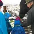 Tony gives the boys some carrots for Chinner, A Snowy Day, Brome, Suffolk - 12th February 2017