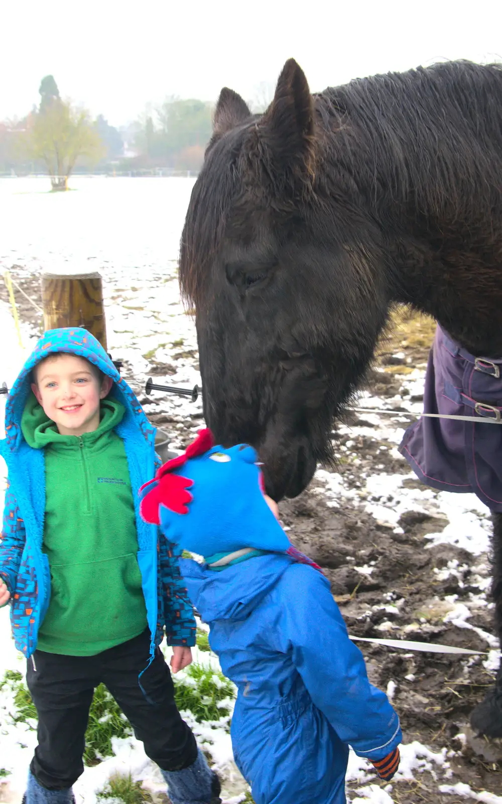 Harry and Chinner, from A Snowy Day, Brome, Suffolk - 12th February 2017