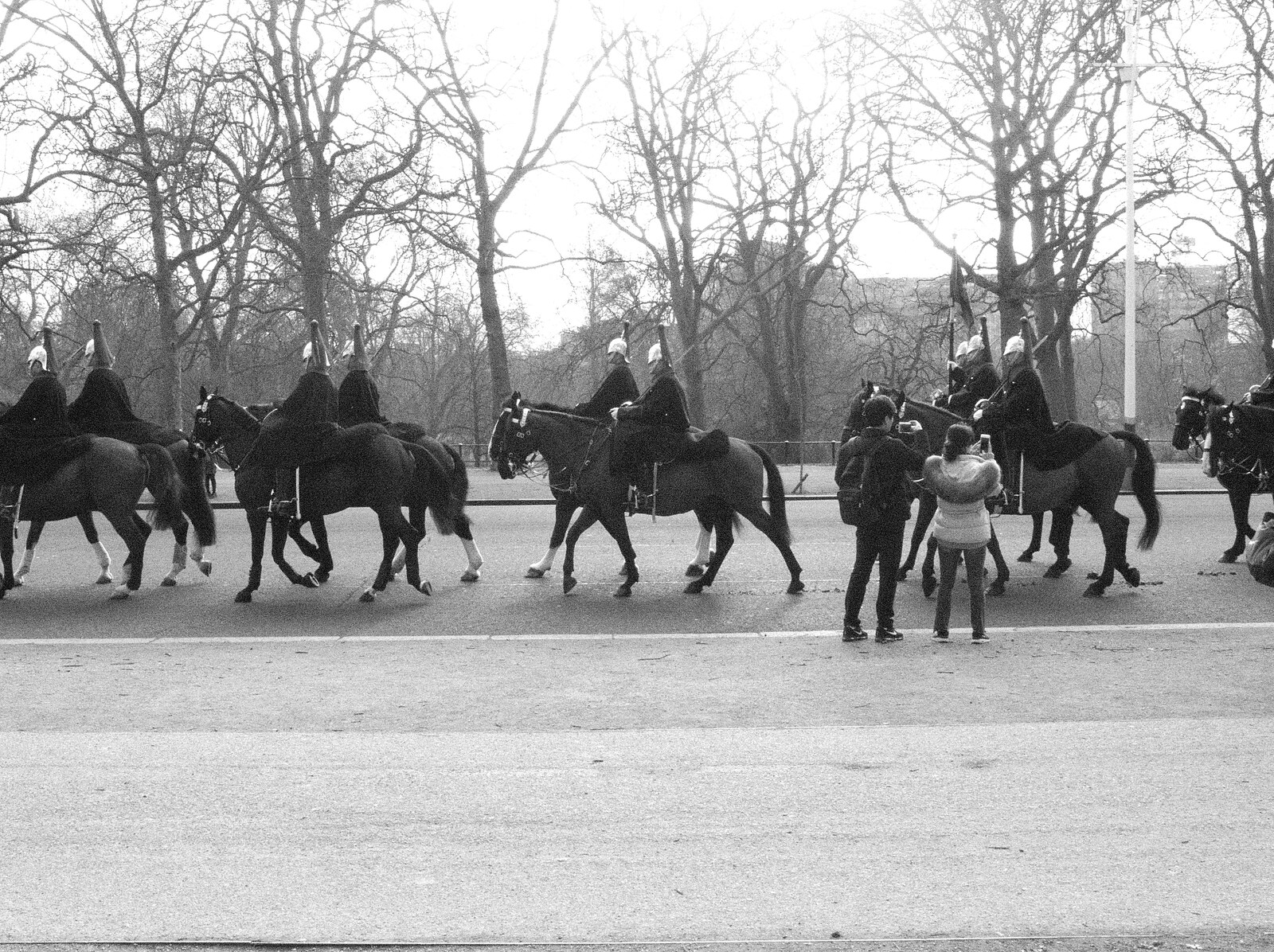 More horses pass by from Little Venice and Diss Park, West London and Norfolk - 17th February 2017