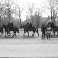 More horses pass by, Little Venice and Diss Park, West London and Norfolk - 17th February 2017