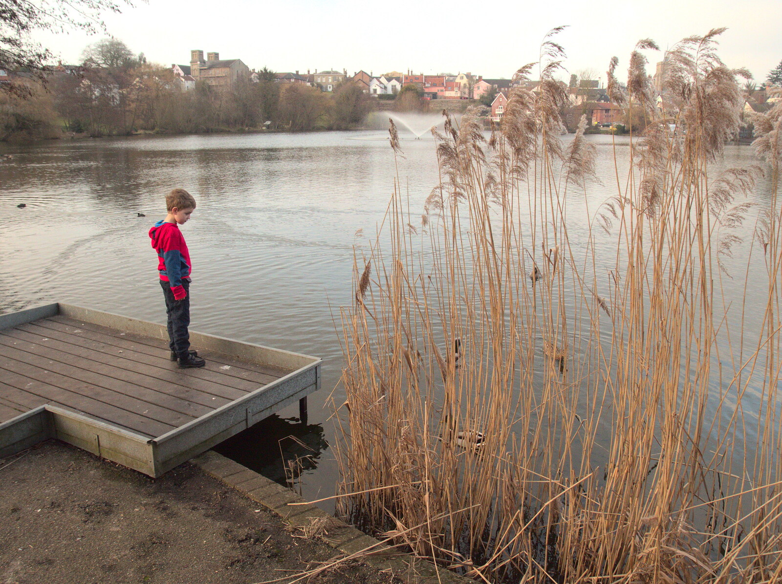 Fred on a fishing pontoon from Little Venice and Diss Park, West London and Norfolk - 17th February 2017