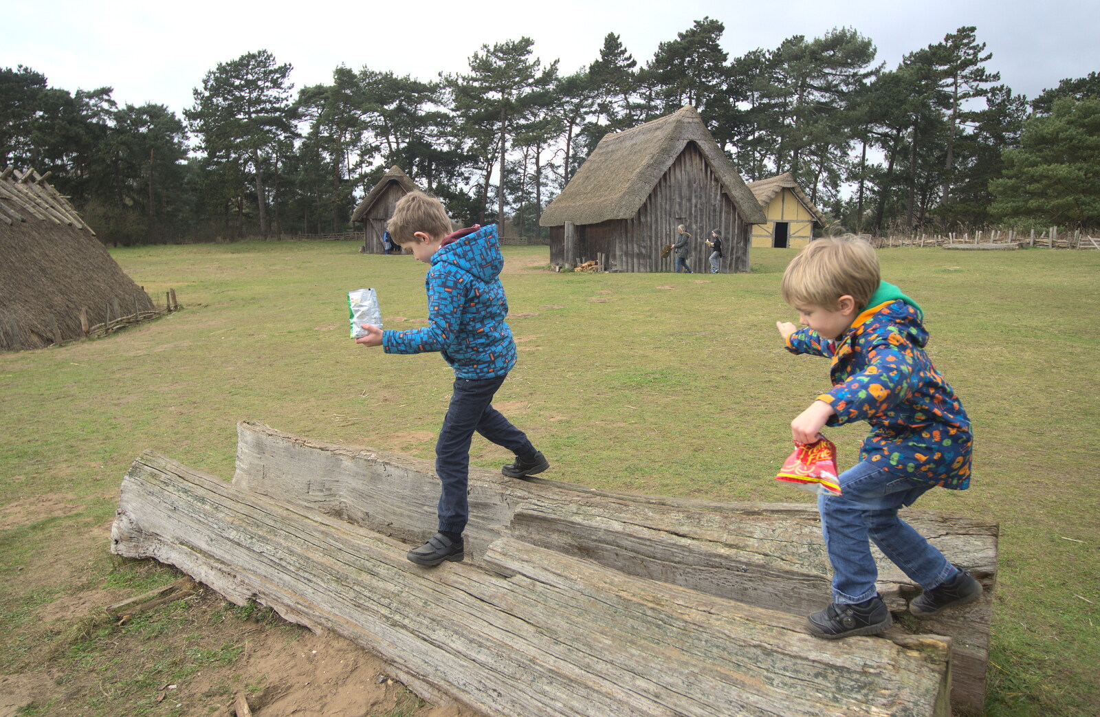 Fred and Harry on a log from An Anglo-Saxon Village, West Stow, Suffolk - 19th February 2017