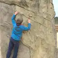 Fred clings to a climbing wall, An Anglo-Saxon Village, West Stow, Suffolk - 19th February 2017