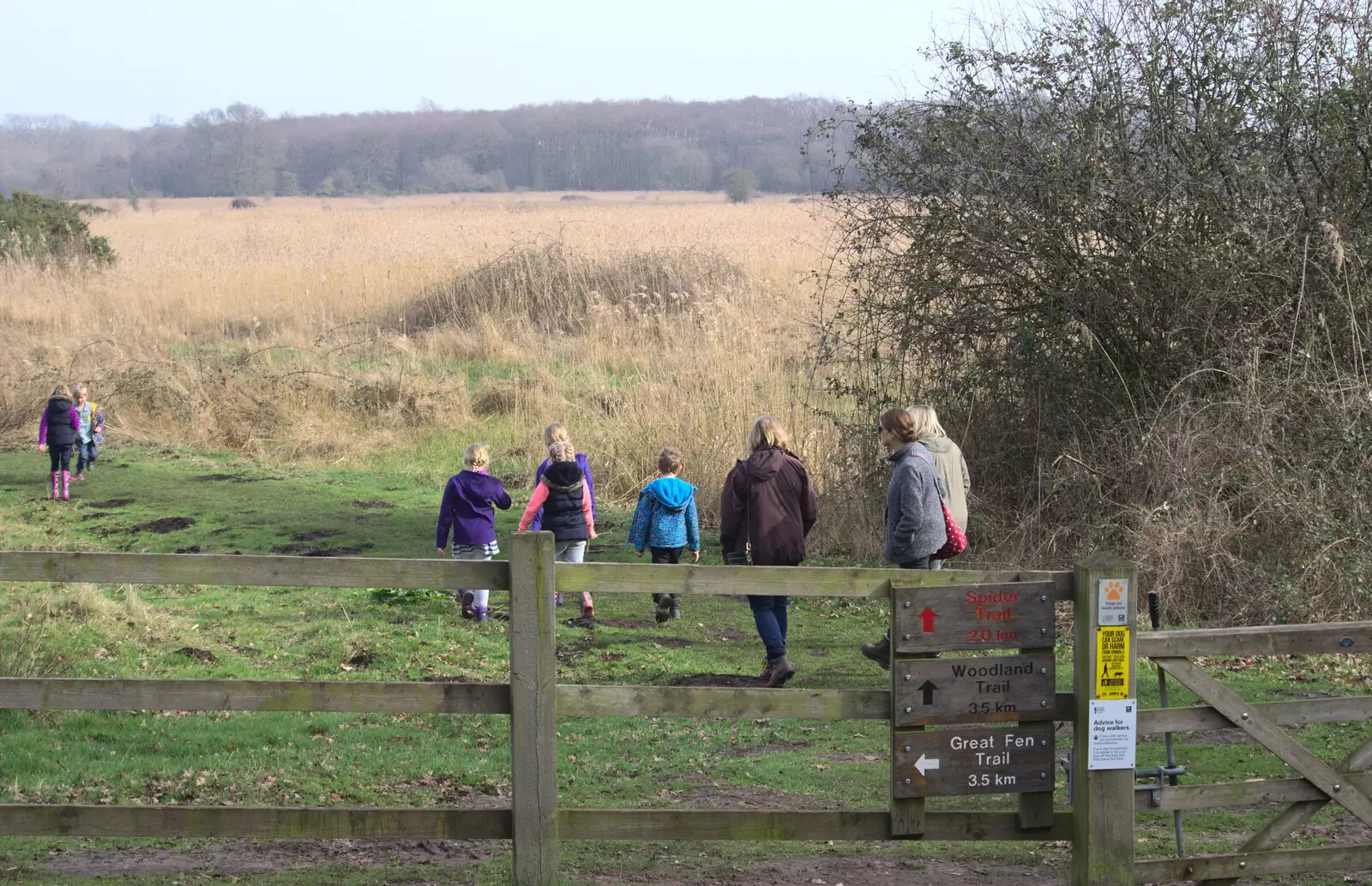 The gang sets off on the shorter trail, from Redgrave and Lopham Fen, Suffolk Border - 11th March 2017