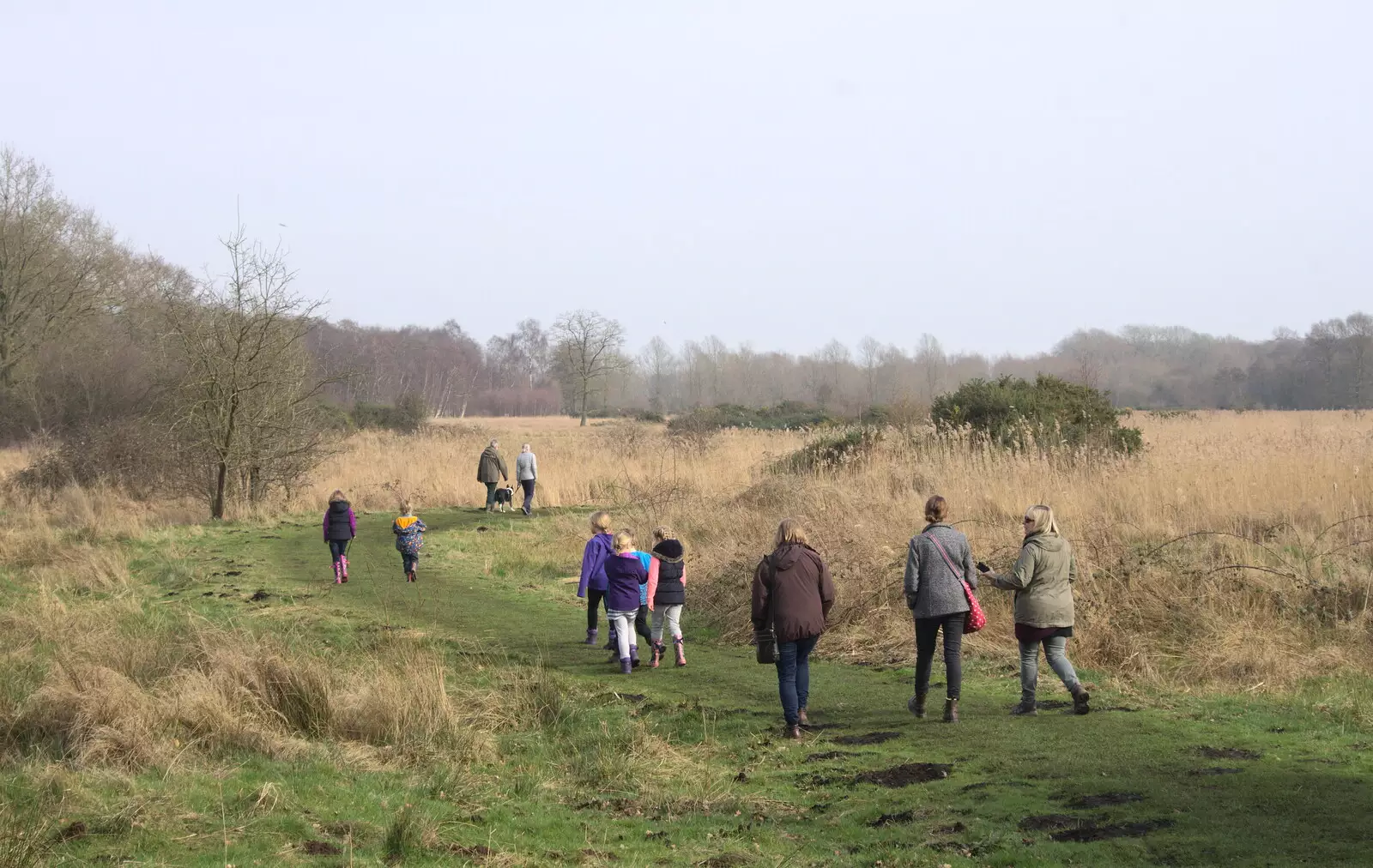 On the fen trail, from Redgrave and Lopham Fen, Suffolk Border - 11th March 2017