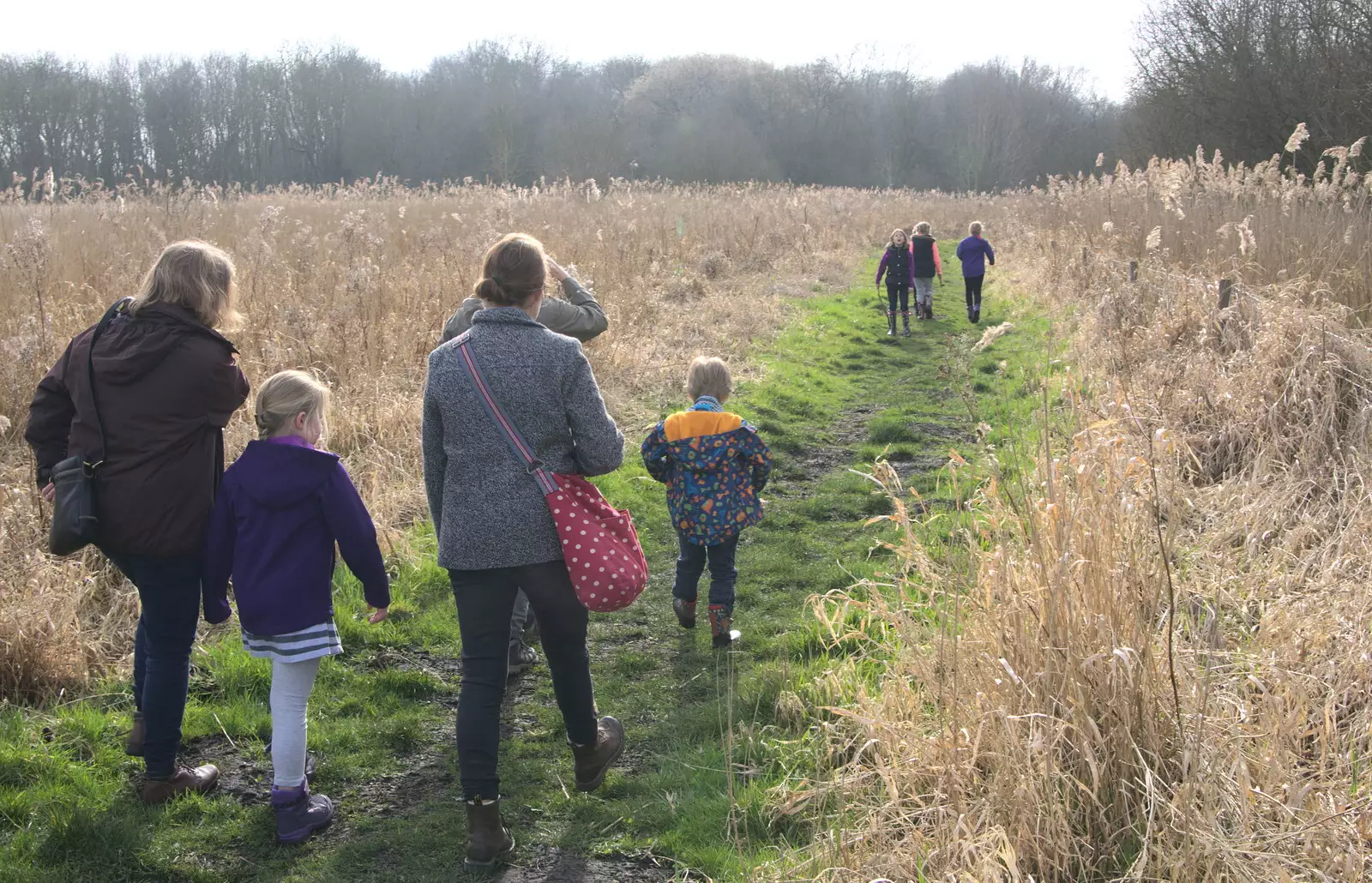 On the path, from Redgrave and Lopham Fen, Suffolk Border - 11th March 2017