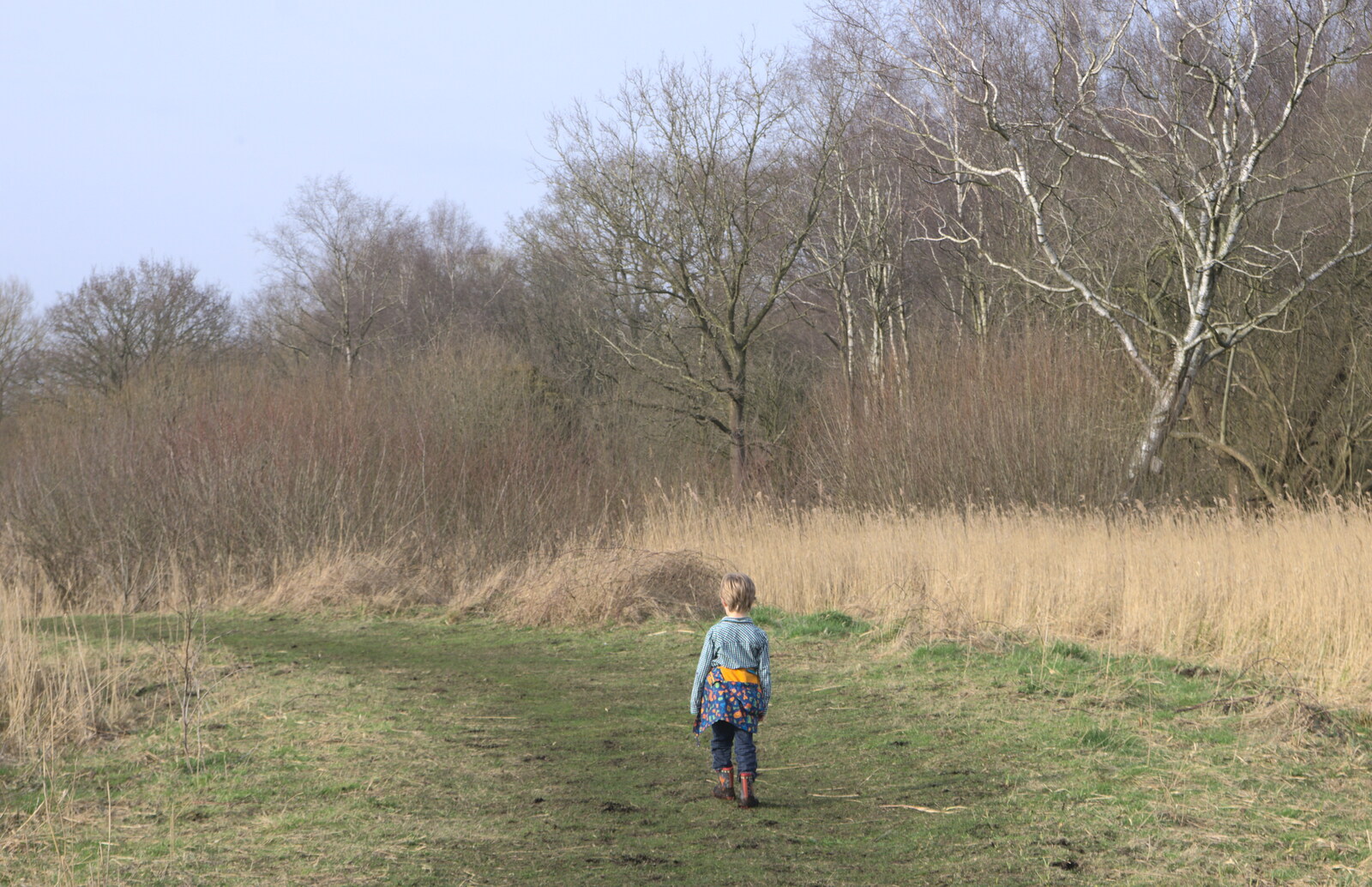 Harry stumps off on his own from Redgrave and Lopham Fen, Suffolk Border - 11th March 2017