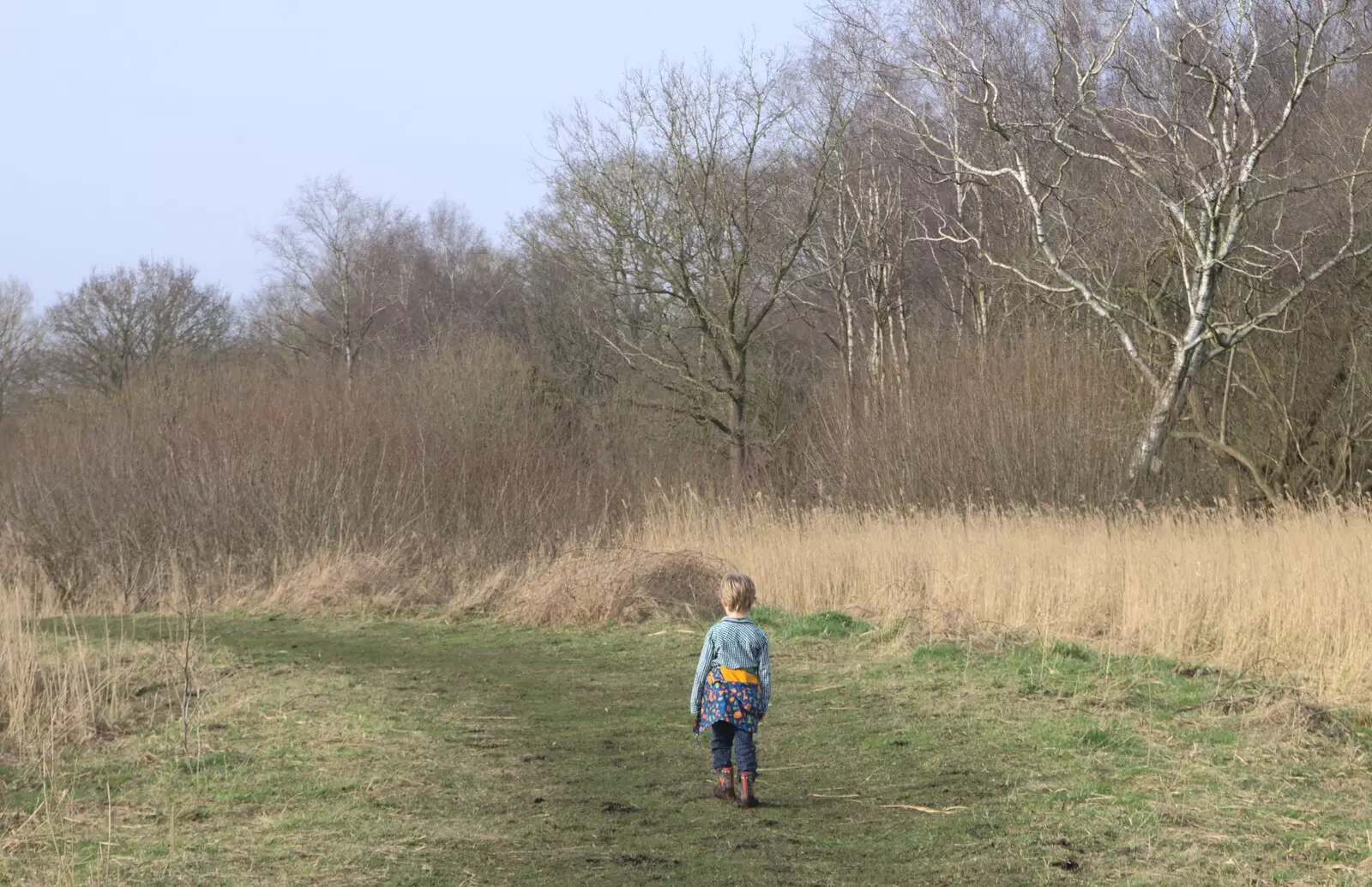 Harry stumps off on his own, from Redgrave and Lopham Fen, Suffolk Border - 11th March 2017