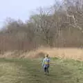 Harry stumps off on his own, Redgrave and Lopham Fen, Suffolk Border - 11th March 2017