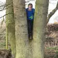 Fred's up a tree, Redgrave and Lopham Fen, Suffolk Border - 11th March 2017