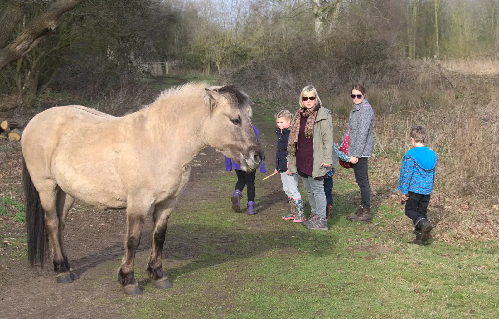 We stare at a pony for a bit, from Redgrave and Lopham Fen, Suffolk Border - 11th March 2017