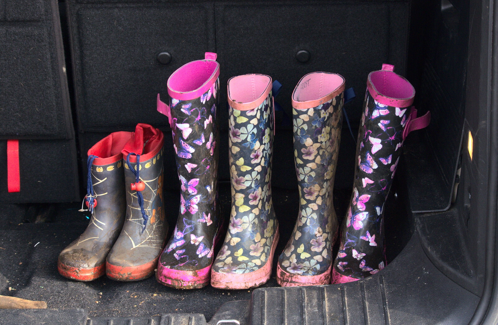 Multiple wellies from Redgrave and Lopham Fen, Suffolk Border - 11th March 2017