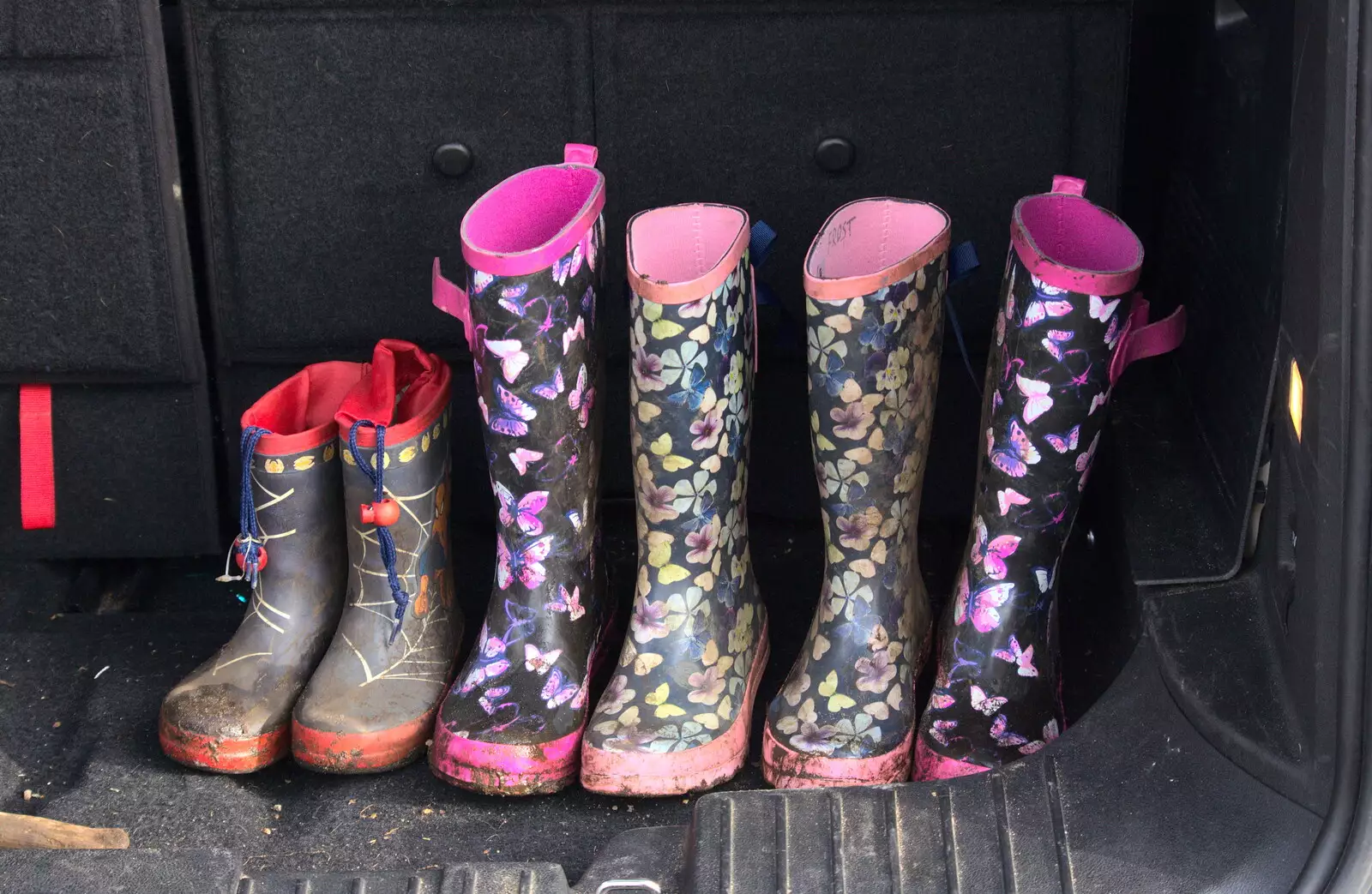 Multiple wellies, from Redgrave and Lopham Fen, Suffolk Border - 11th March 2017