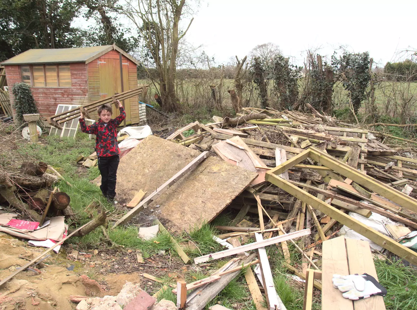 Fred helps tidy up the massive wood pile, from Digger Action and other March Miscellany, Suffolk and London - 21st March 2017